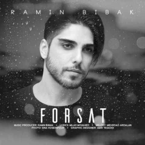 Ramin Bibak Forsat